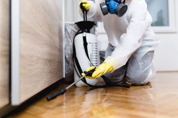 Best Flea Control Services  in Florence, TX