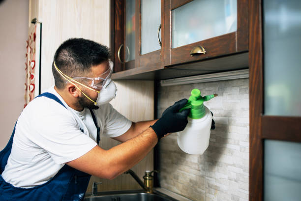 Best Wildlife Control Services  in Florence, TX