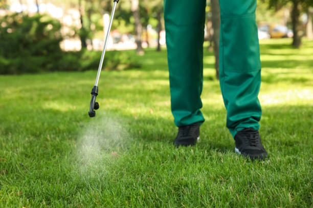 Best Best Pest Control Near Me  in Florence, TX