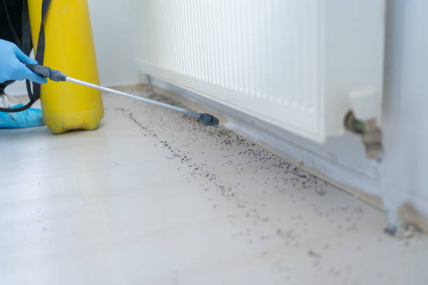 Best Wildlife Control Services  in Florence, TX